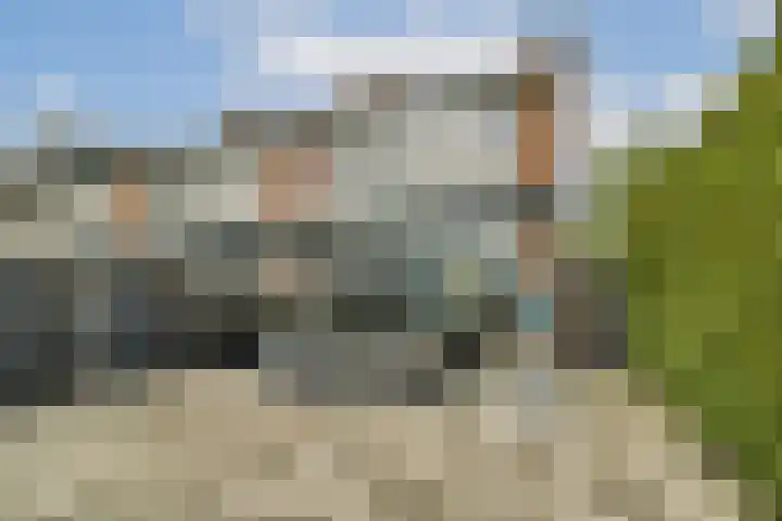 Rijstgras 40 Rotterdam thumbnail 21