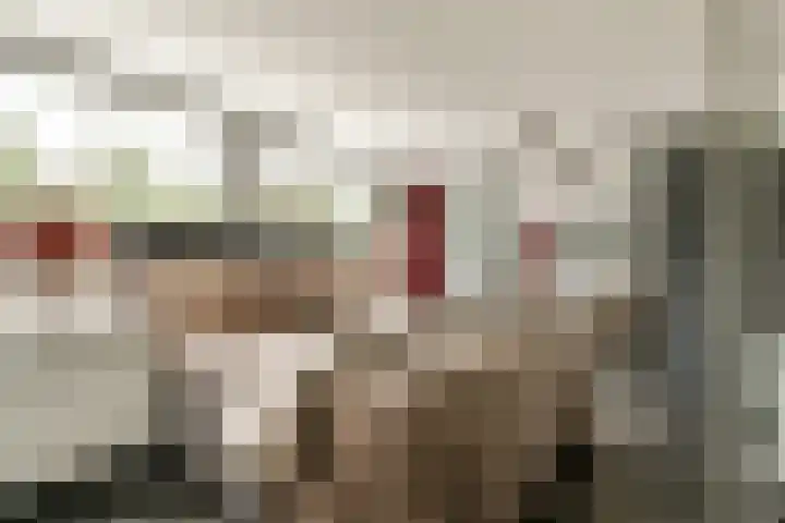 Rijstgras 40 Rotterdam thumbnail 23