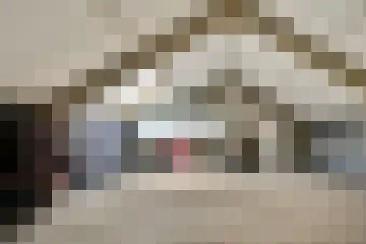 Rijstgras 40 Rotterdam thumbnail 32