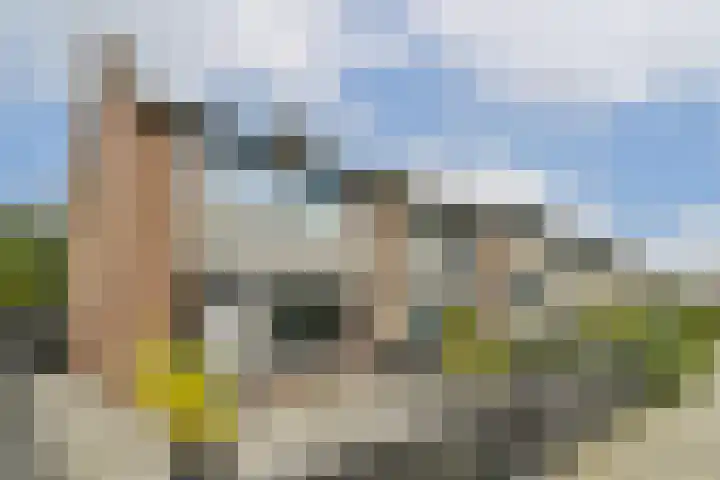 Rijstgras 40 Rotterdam thumbnail 39