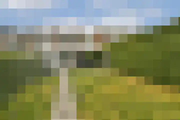 Rijstgras 40 Rotterdam thumbnail 4