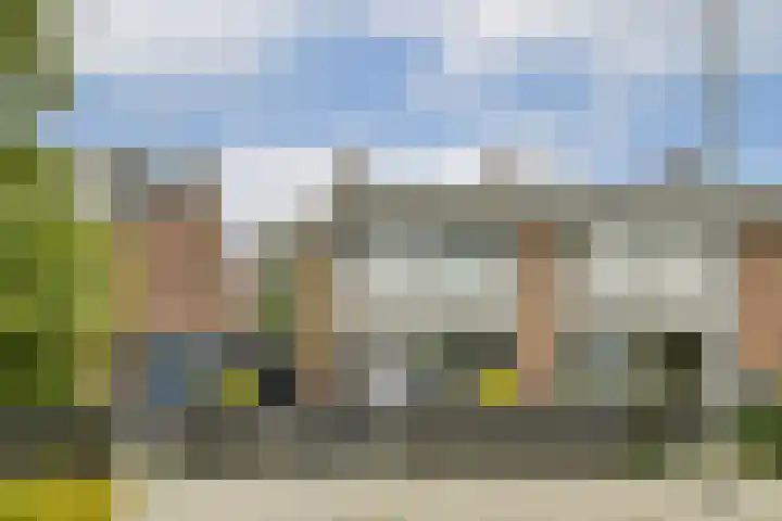 Rijstgras 40 Rotterdam thumbnail 5