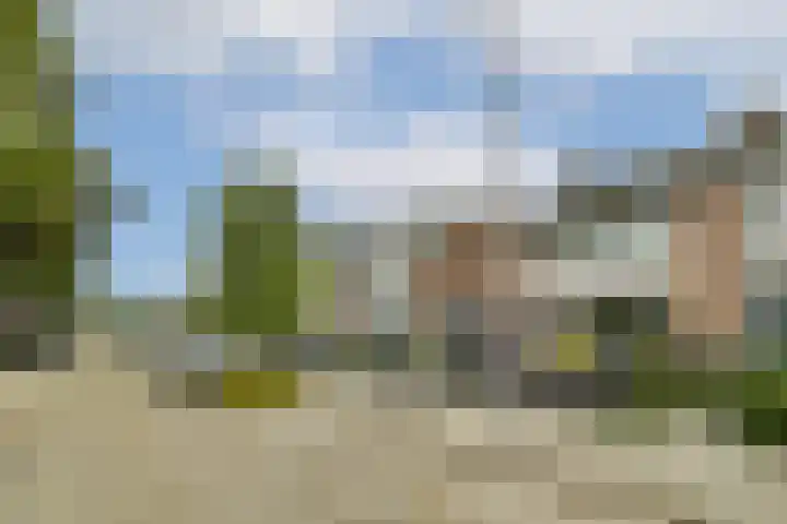 Rijstgras 40 Rotterdam thumbnail 6