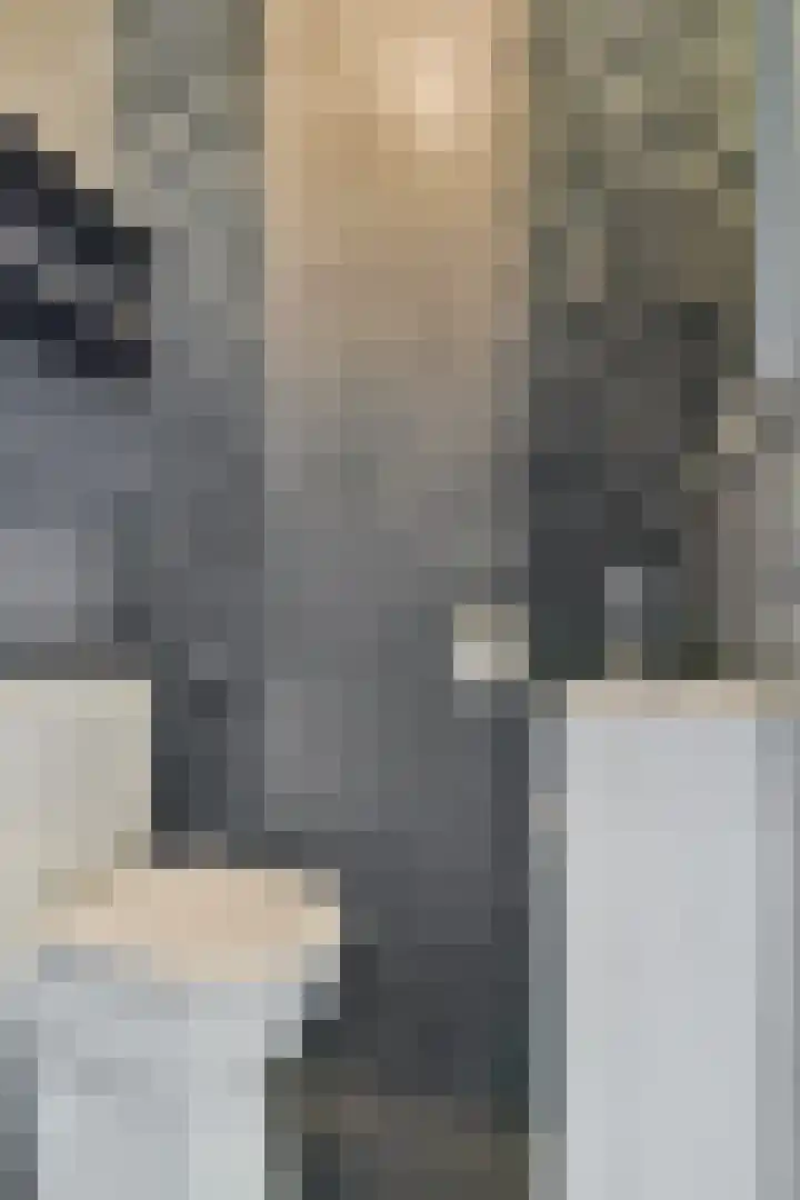 Rijstgras 40 Rotterdam thumbnail 8