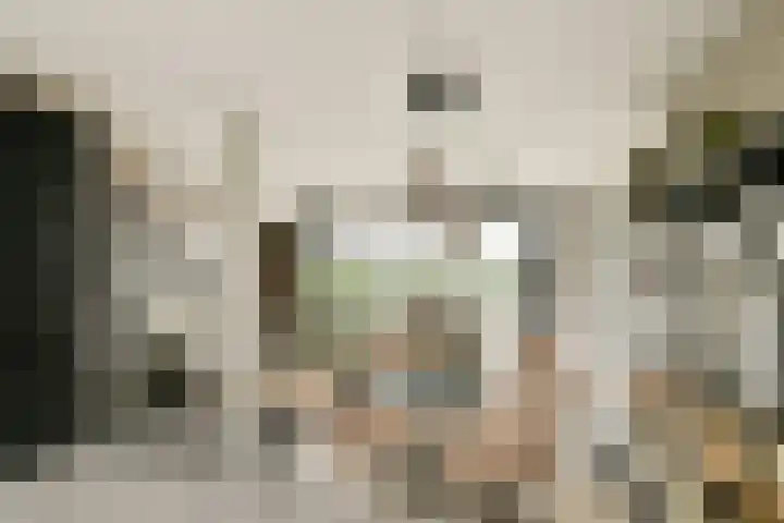 Rijstgras 40 Rotterdam thumbnail 9