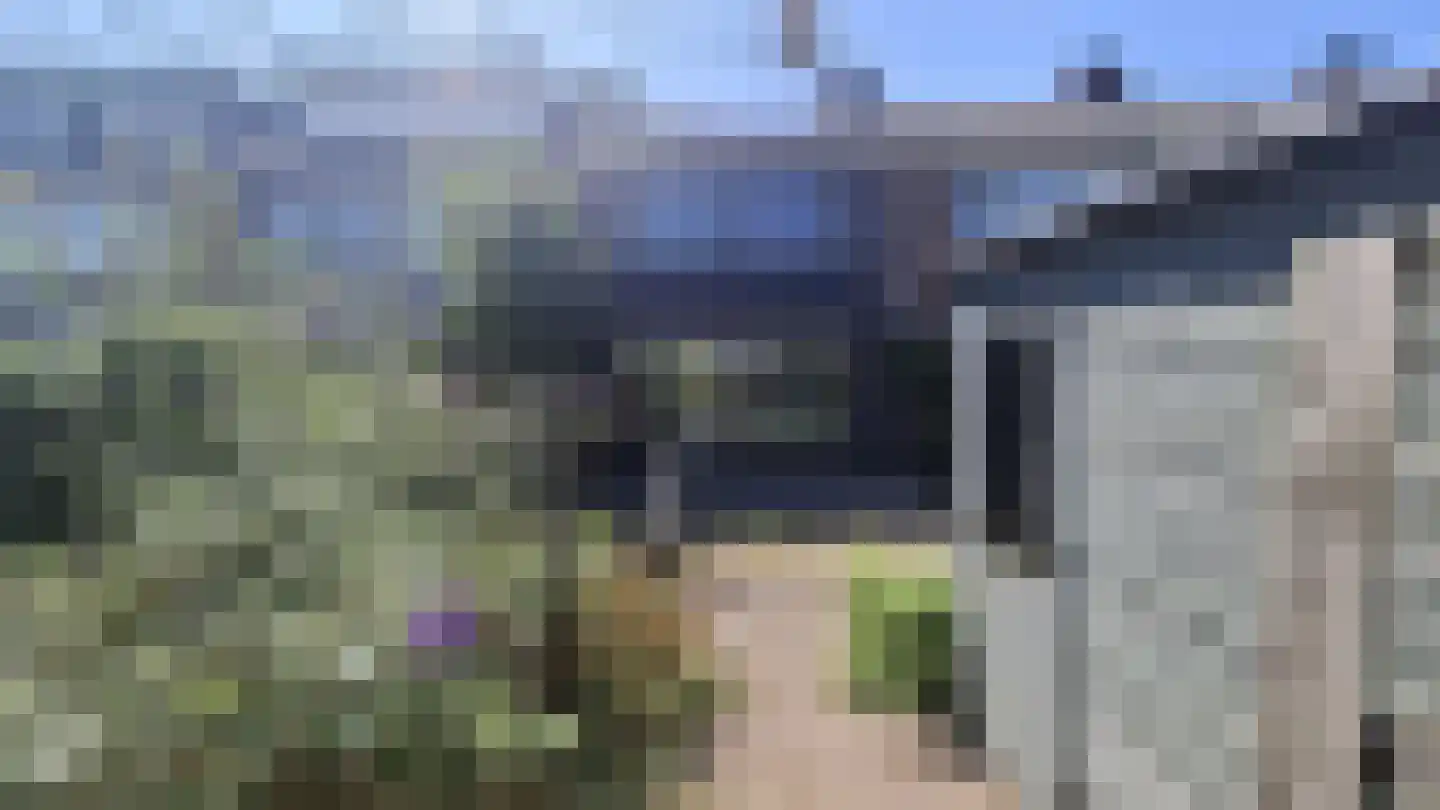 Rijstgras 71 Rotterdam thumbnail 13