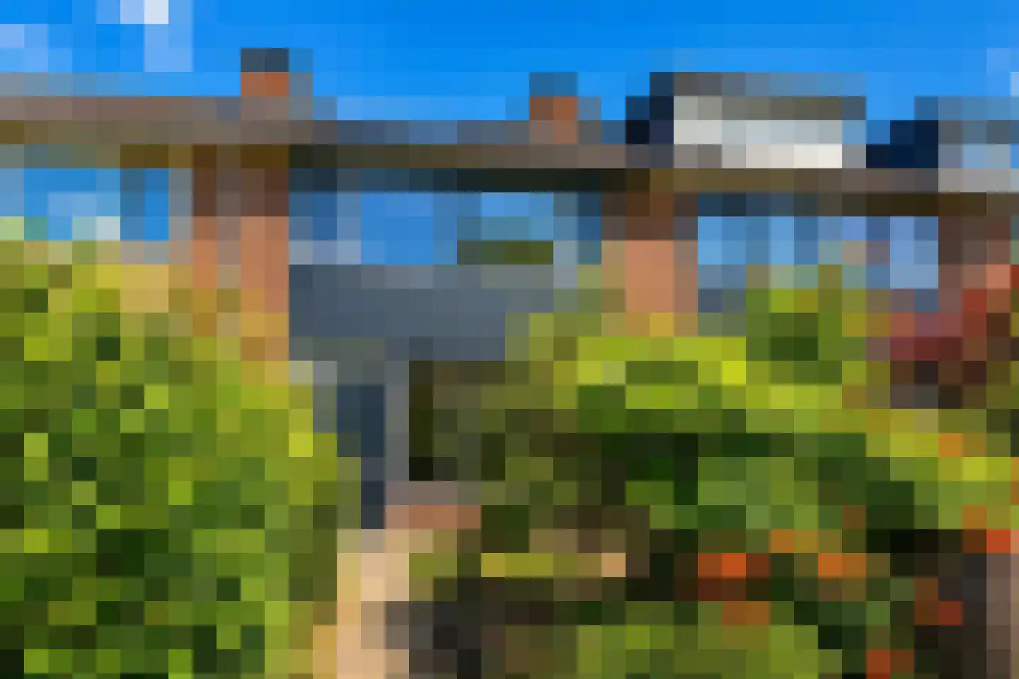 Rijstgras 71 Rotterdam thumbnail 25