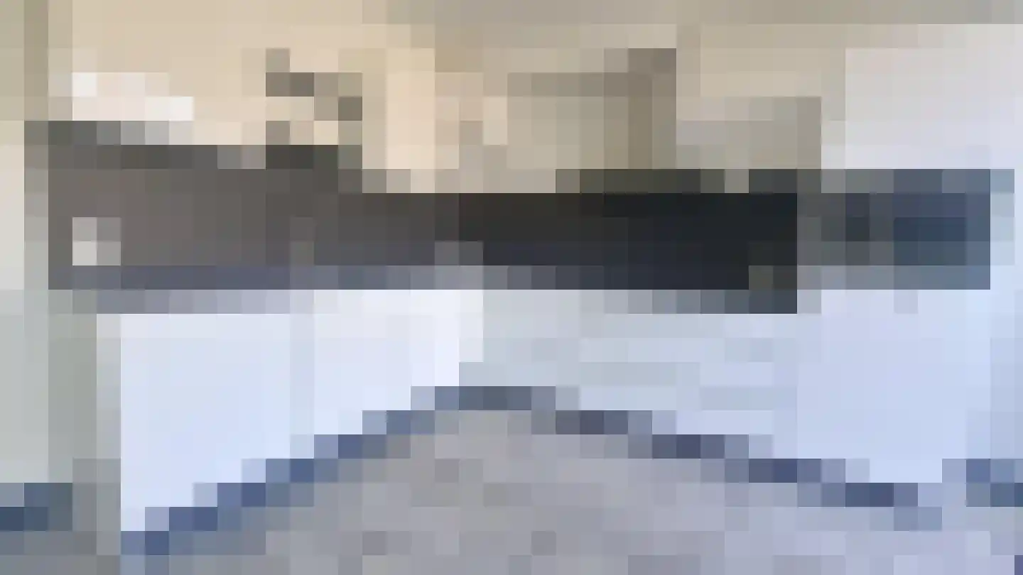 Rijstgras 71 Rotterdam thumbnail 8