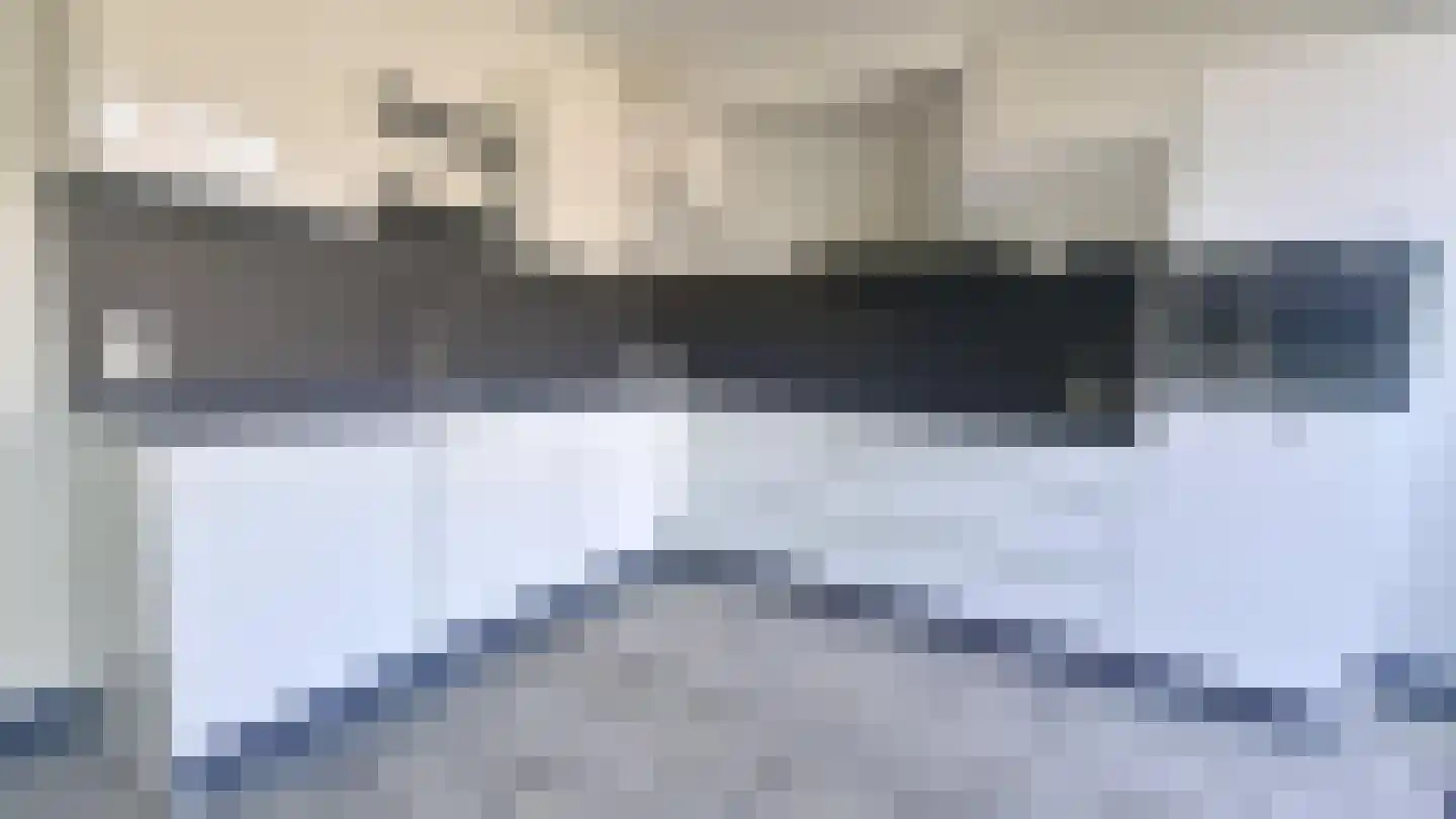 Rijstgras 71 Rotterdam thumbnail 8
