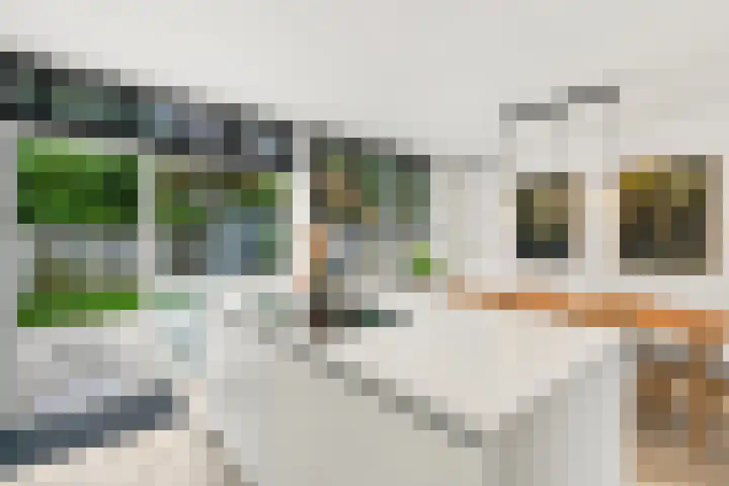 Rijstgras 92 Rotterdam thumbnail 9