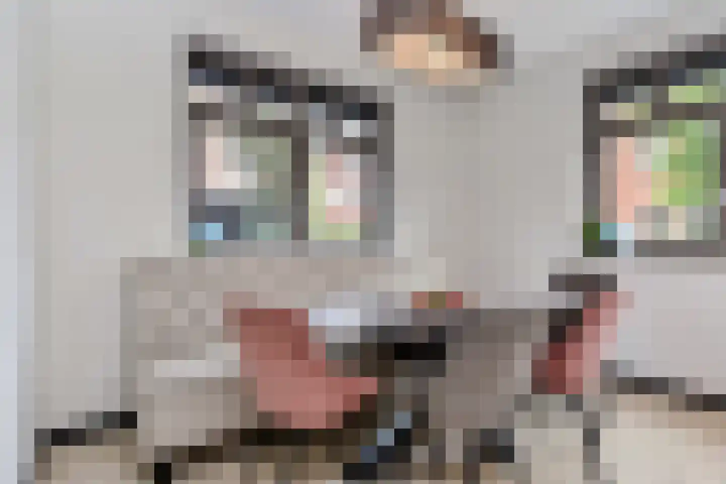 Rijstkamp 32 Den Haag thumbnail 10