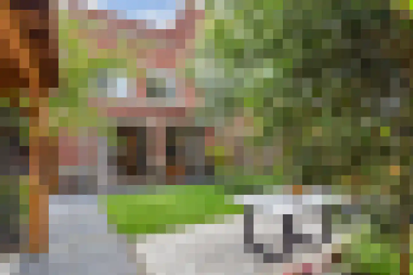 Rijstkamp 32 Den Haag thumbnail 28