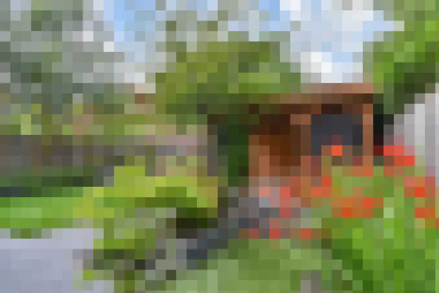 Rijstkamp 32 Den Haag thumbnail 4