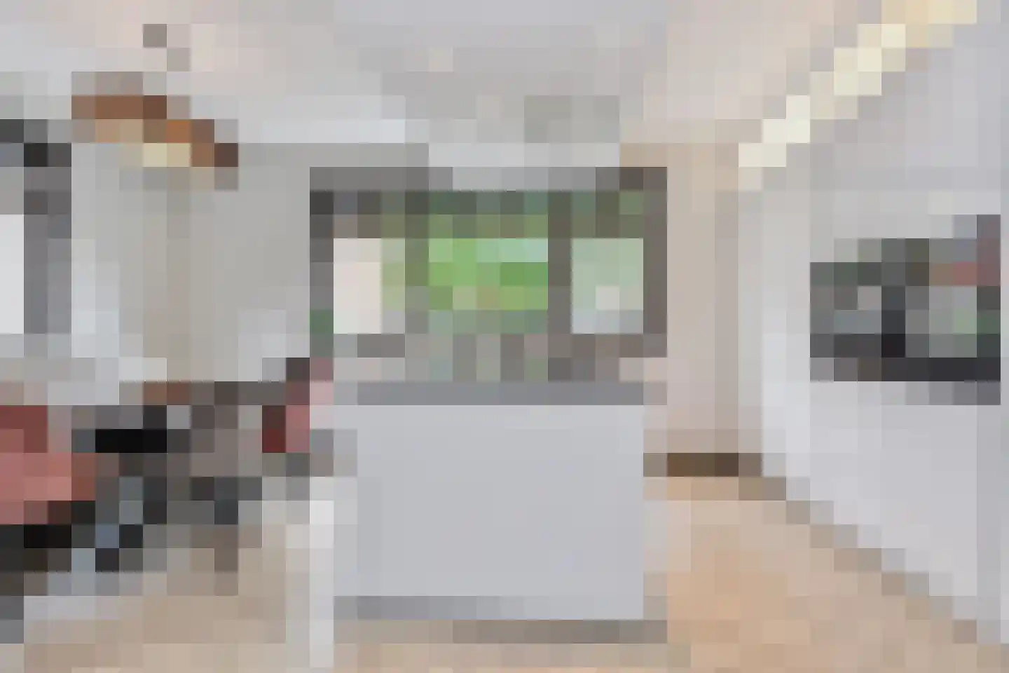 Rijstkamp 32 Den Haag thumbnail 5
