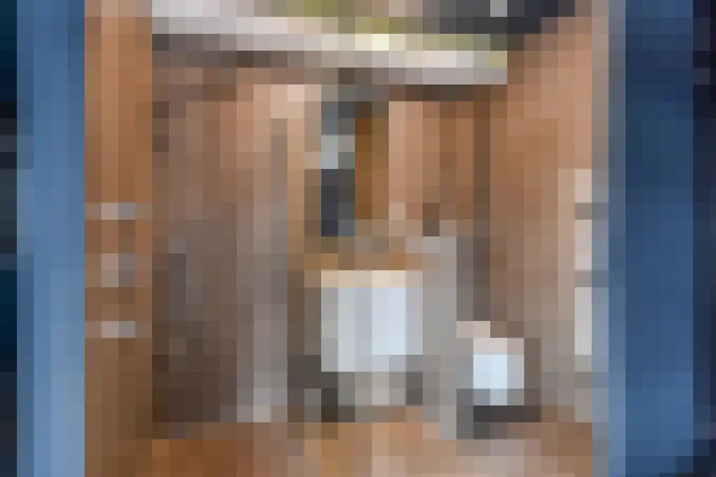 Rijstkamp 32 Den Haag thumbnail 51
