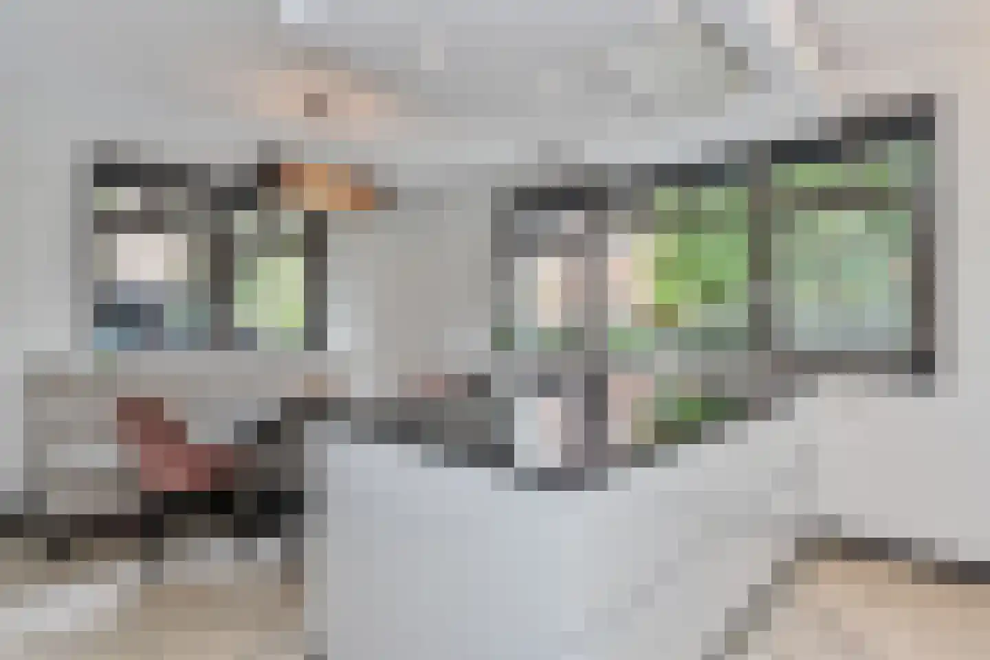 Rijstkamp 32 Den Haag thumbnail 6