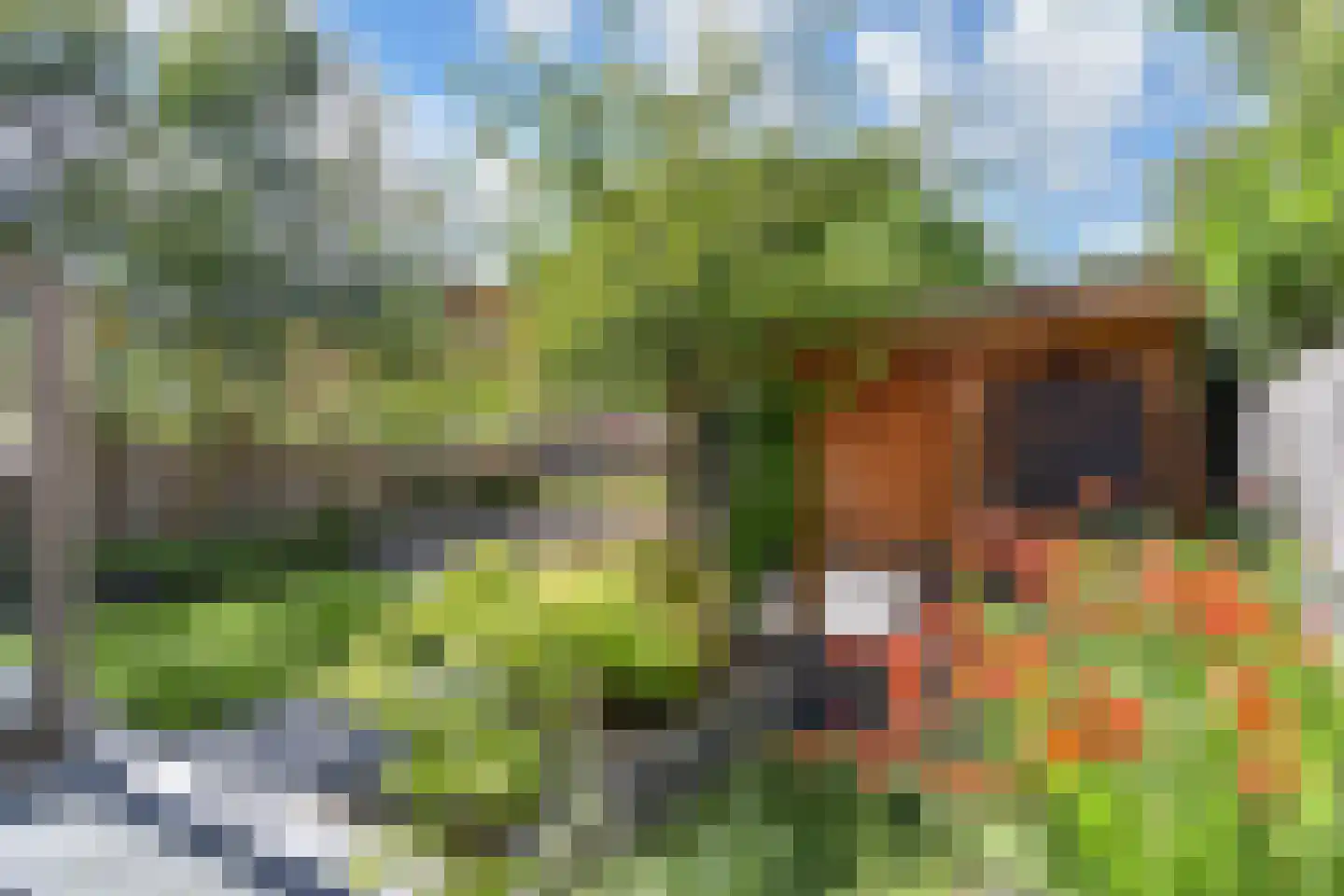 Rijstkamp 32 Den Haag thumbnail 60