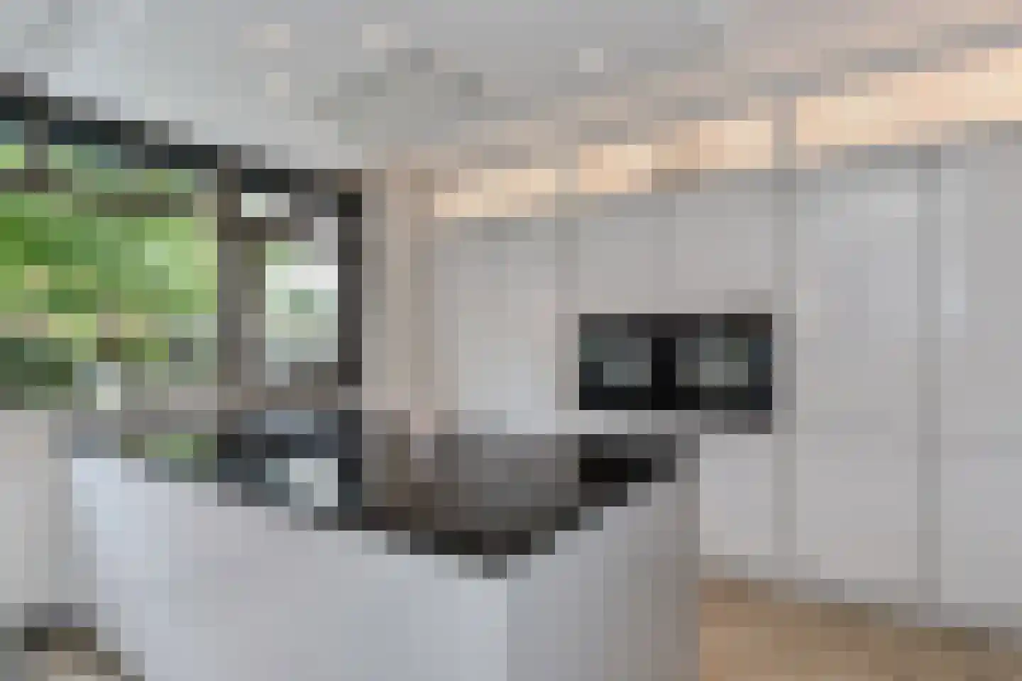 Rijstkamp 32 Den Haag thumbnail 7