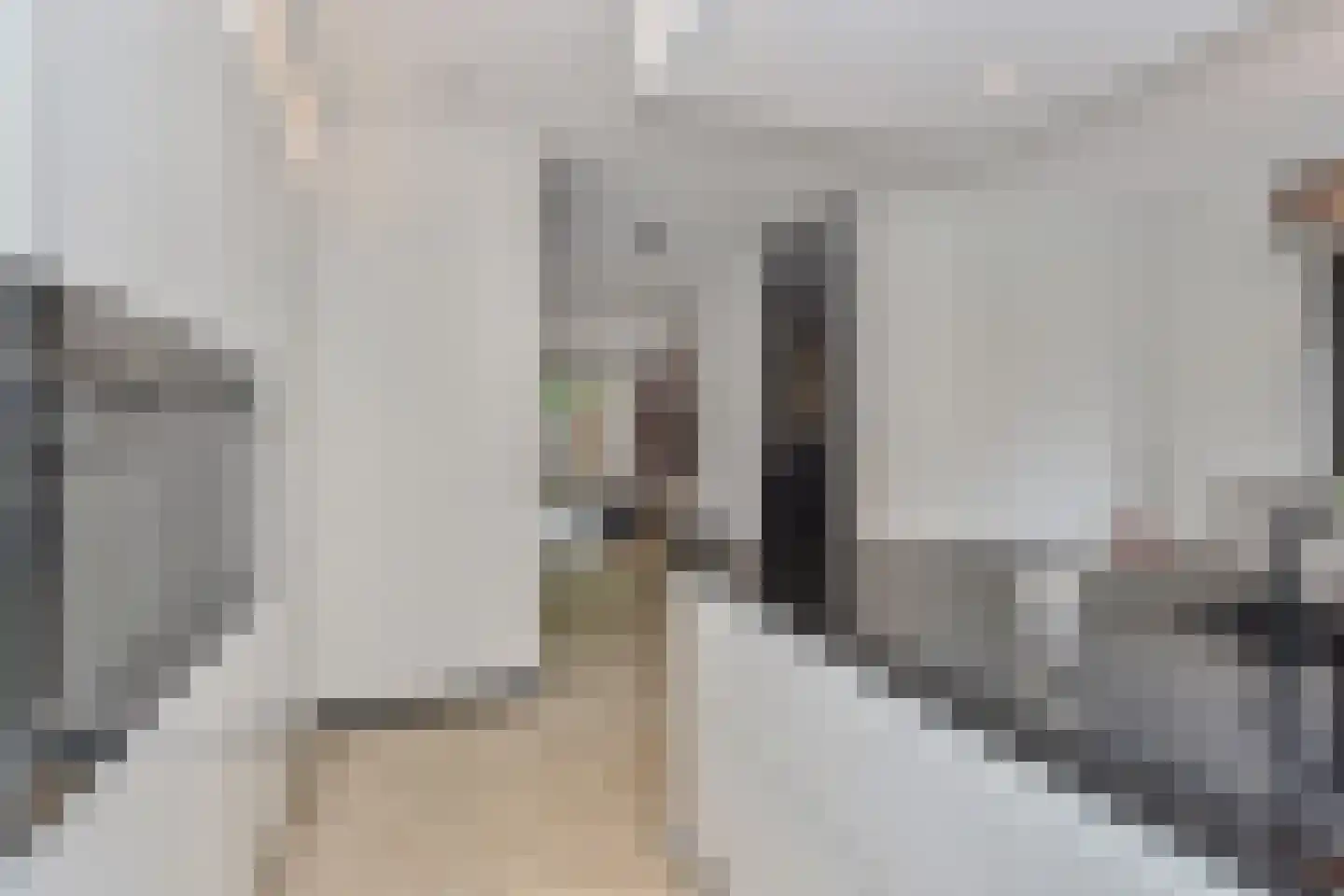 Rijstkamp 32 Den Haag thumbnail 9