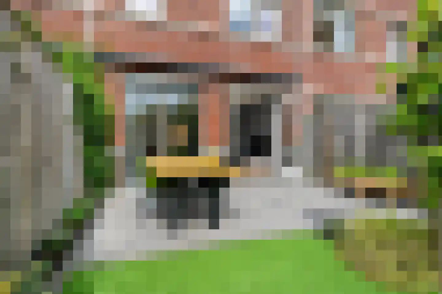 Rijstkamp 41 Den Haag thumbnail 13