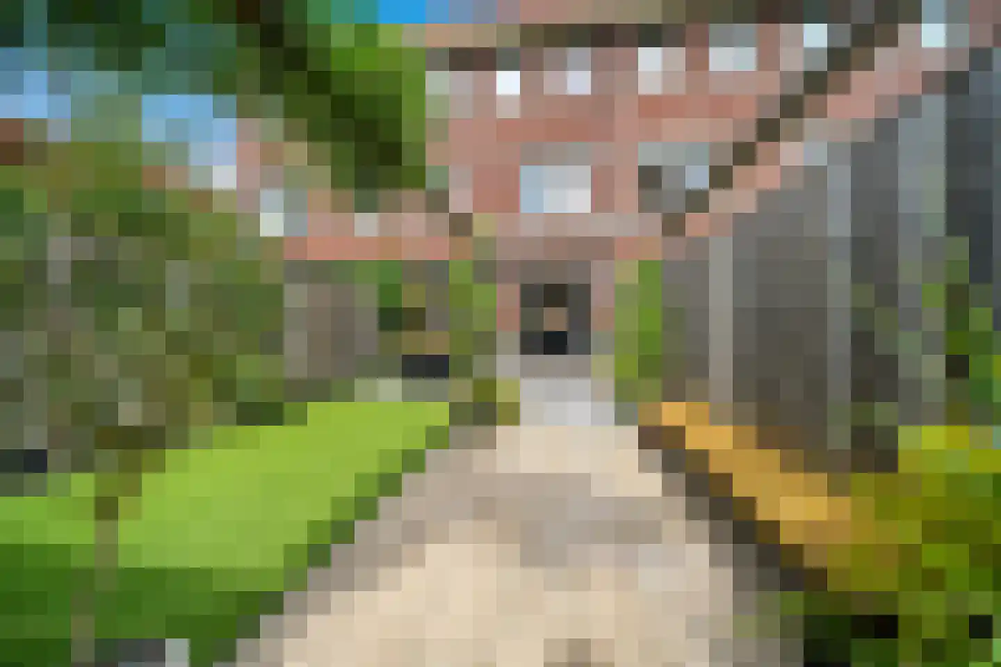 Rijstkamp 41 Den Haag thumbnail 15