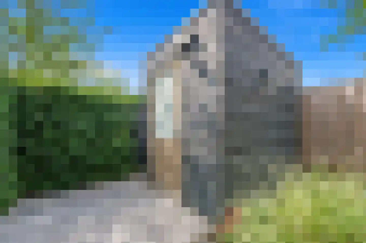 Rijstkamp 41 Den Haag thumbnail 17