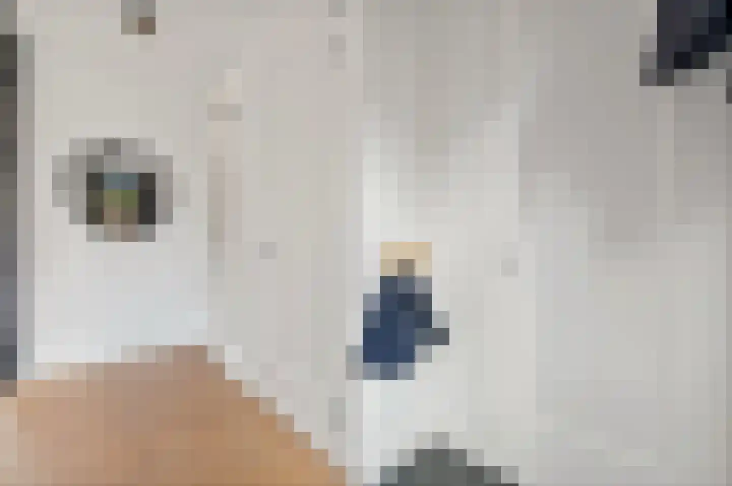 Rijstkamp 41 Den Haag thumbnail 18