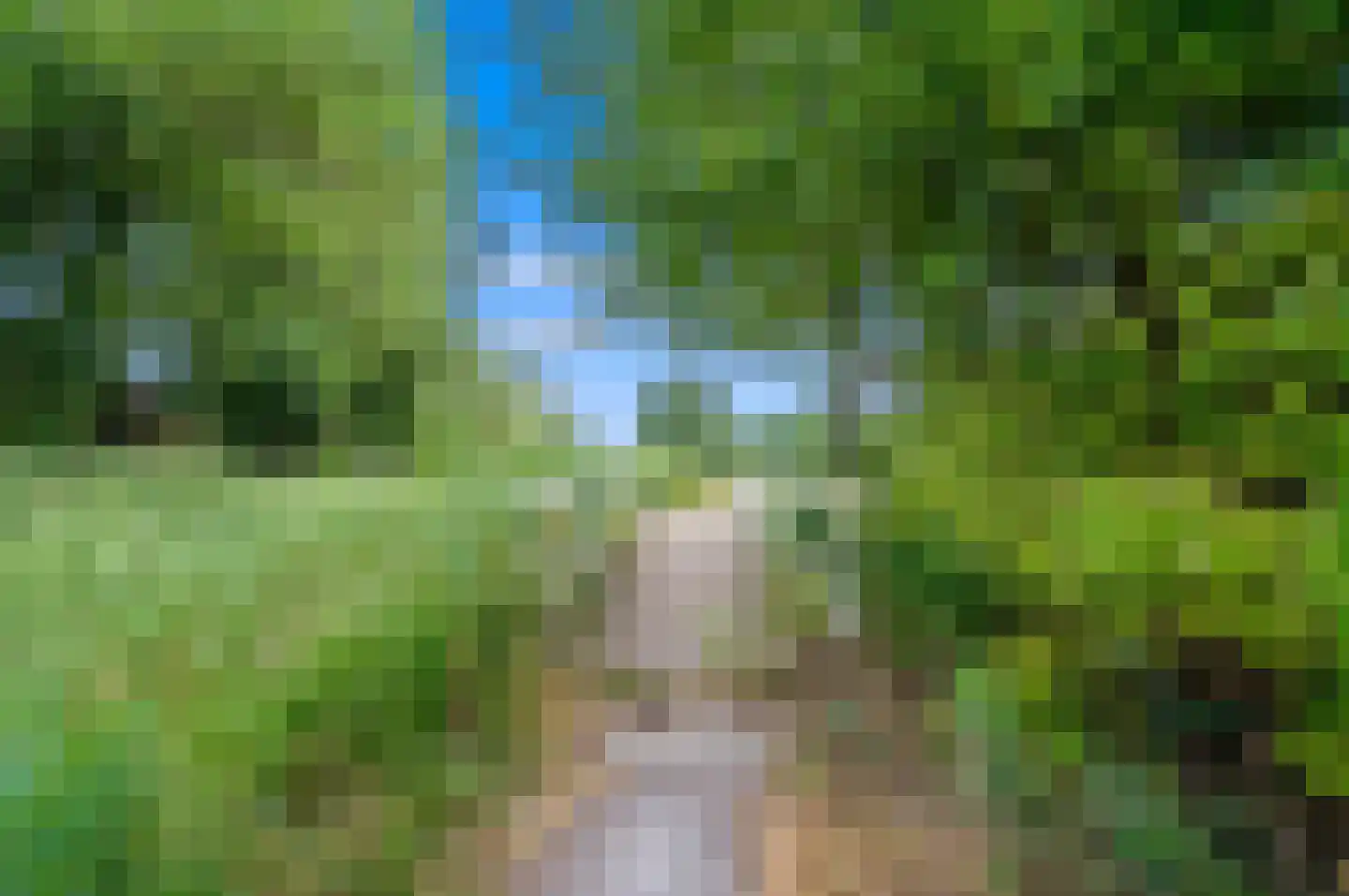 Rijstkamp 41 Den Haag thumbnail 39