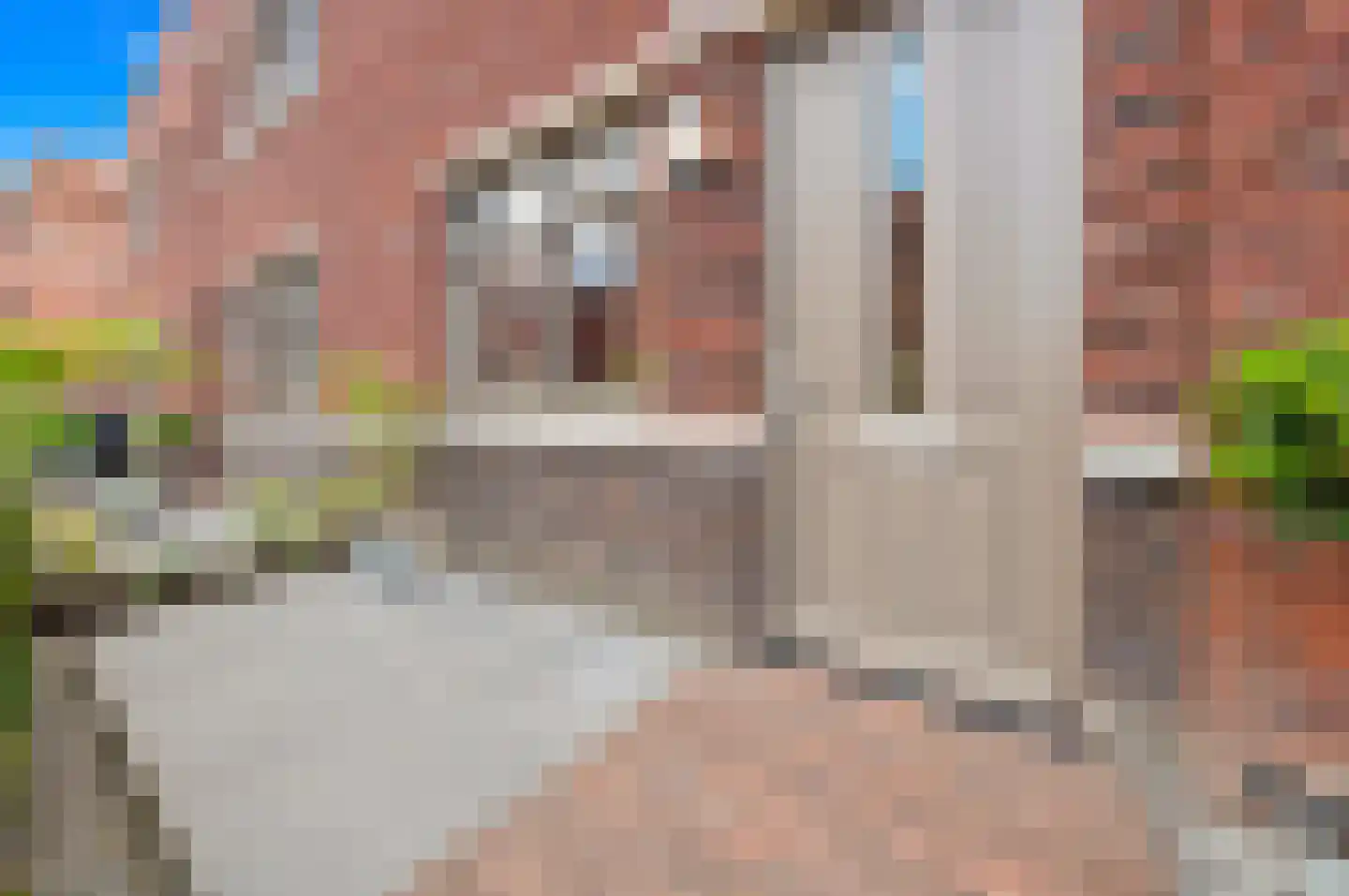 Rijstkamp 41 Den Haag thumbnail 4