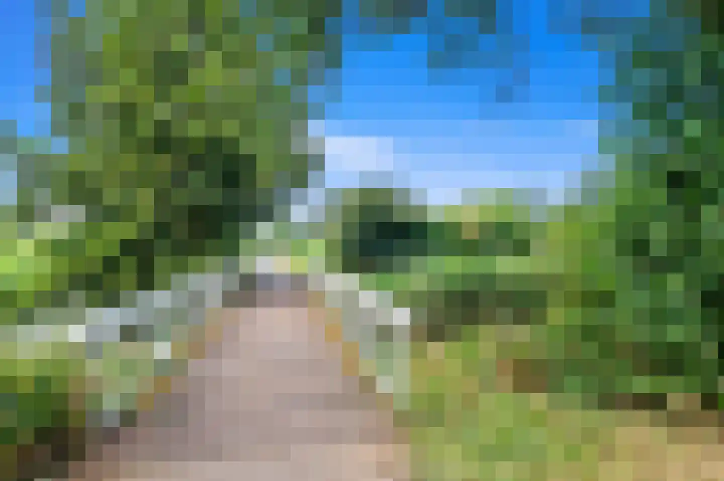 Rijstkamp 41 Den Haag thumbnail 42