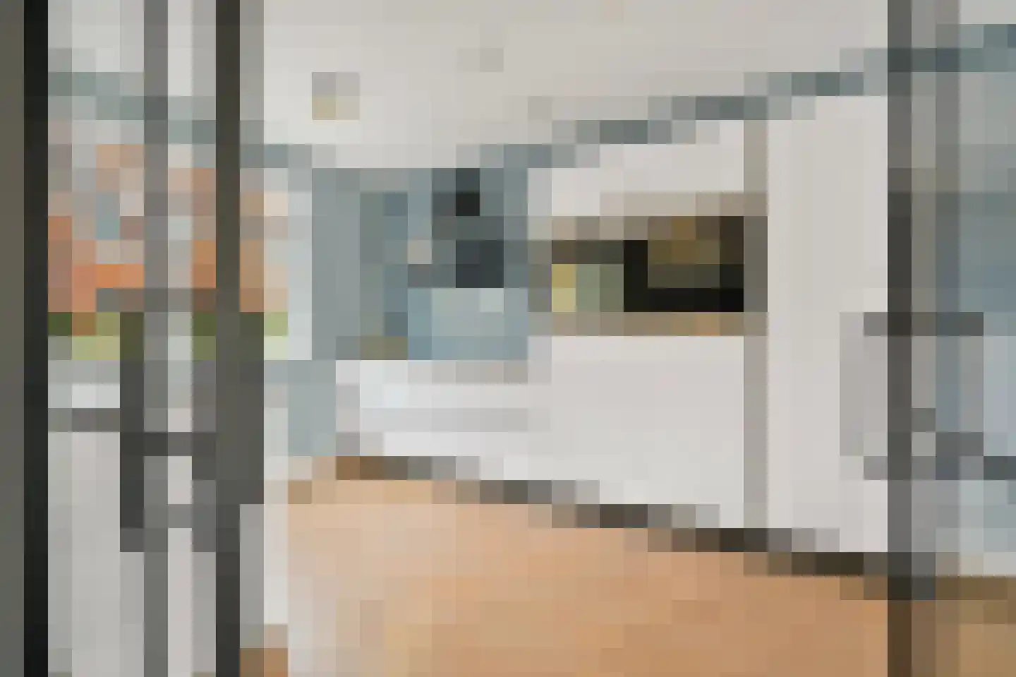 Rijstkamp 41 Den Haag thumbnail 6