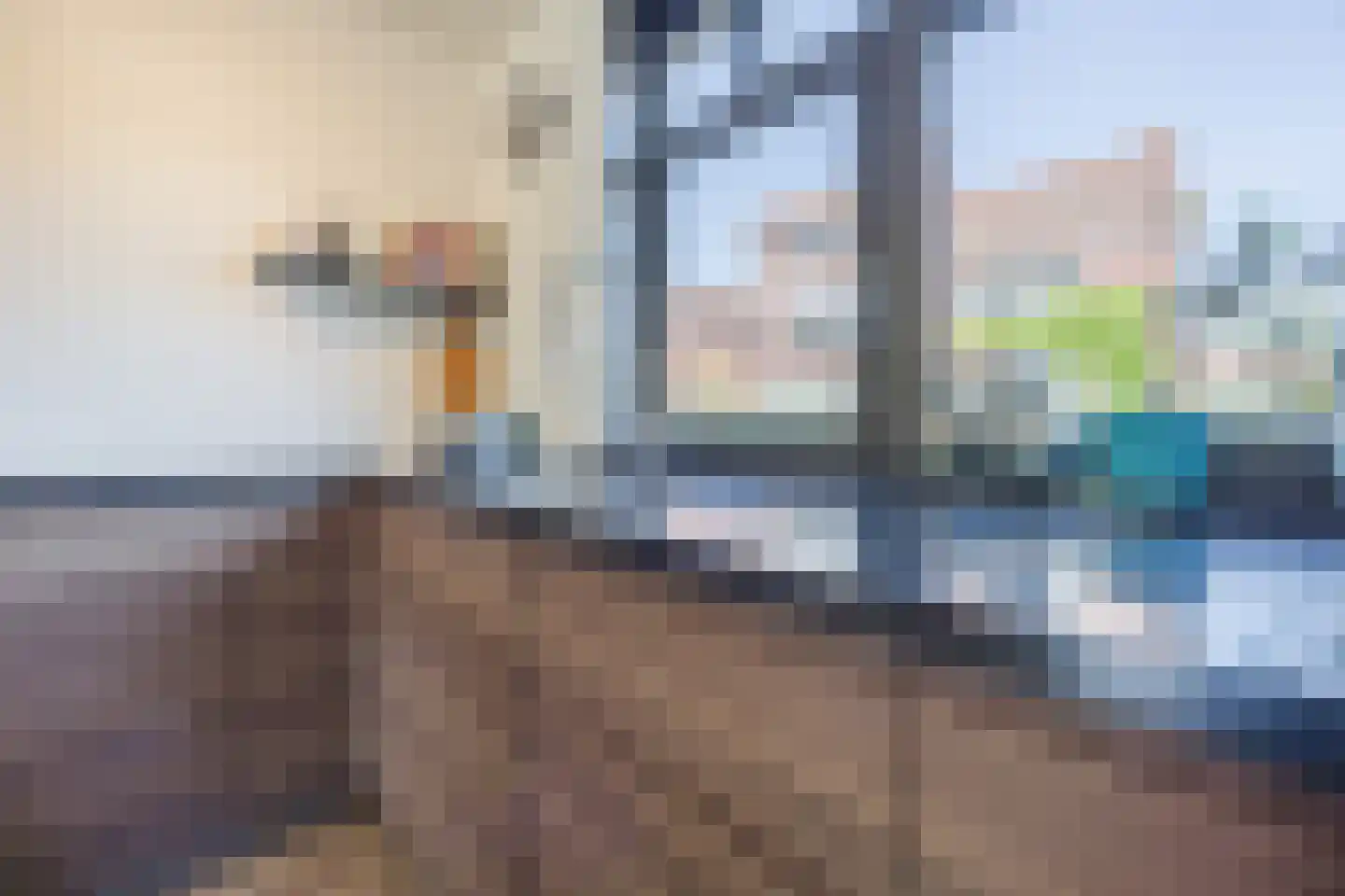 Rijstkamp 51 Den Haag thumbnail 15