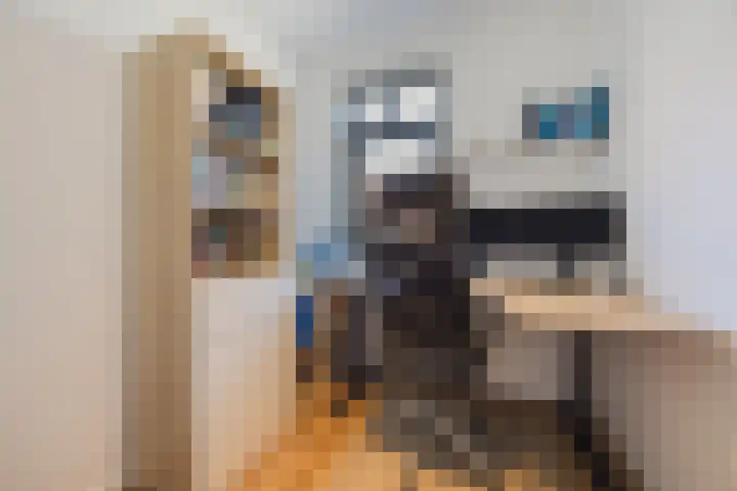 Rijstkamp 51 Den Haag thumbnail 27