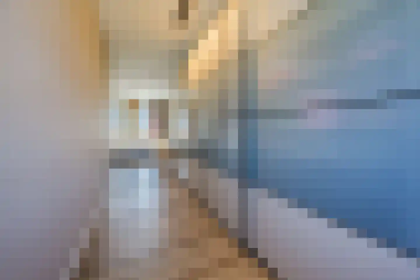 Rijstkamp 51 Den Haag thumbnail 41