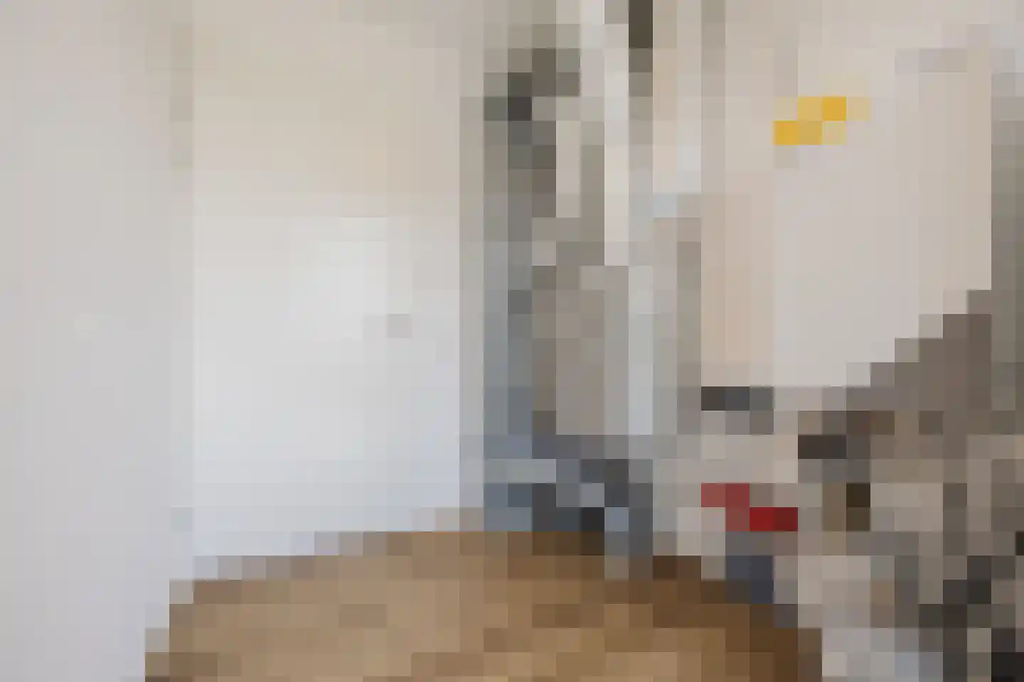 Rijstkamp 51 Den Haag thumbnail 47