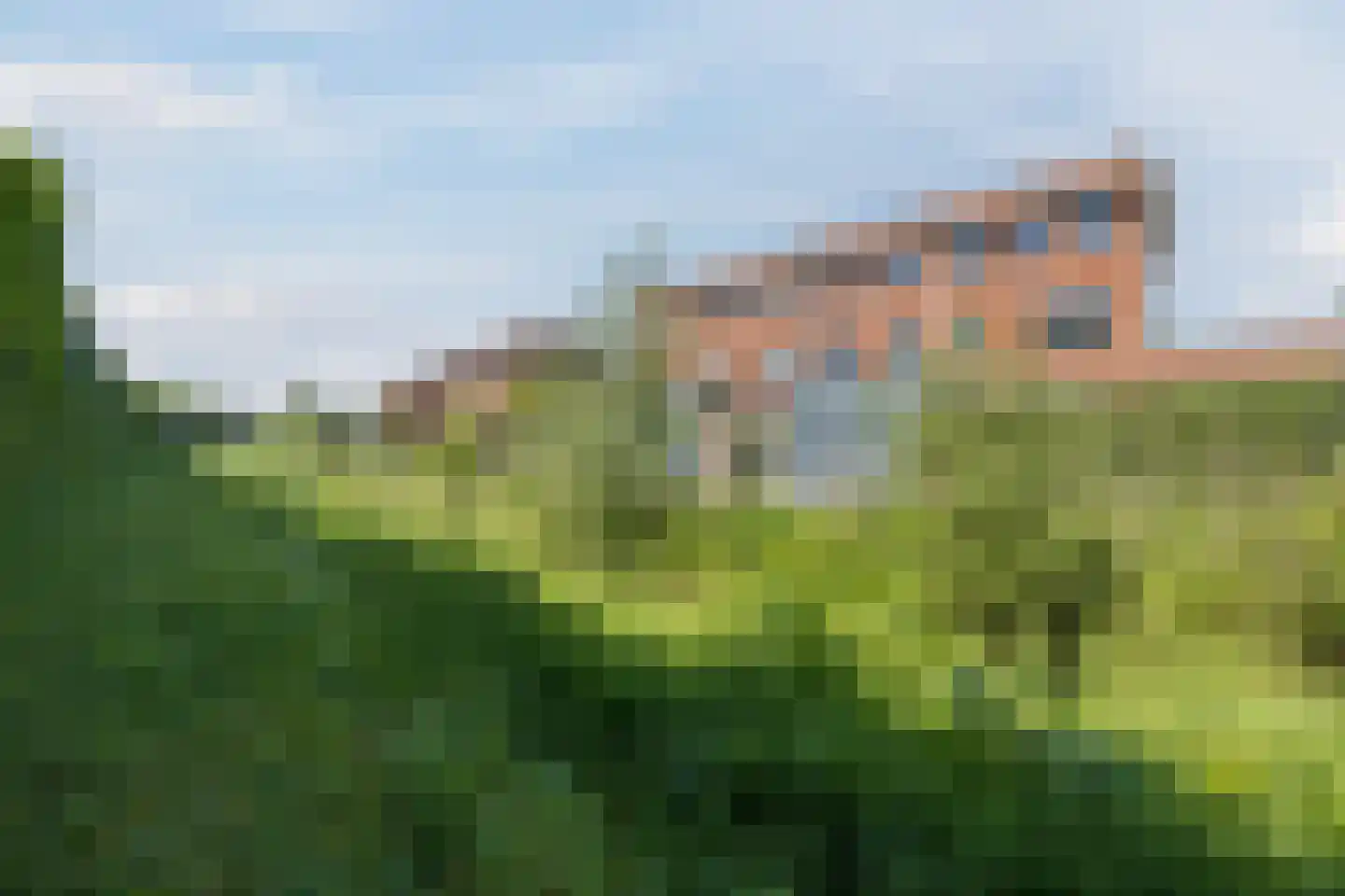 Rijstkamp 51 Den Haag thumbnail 53