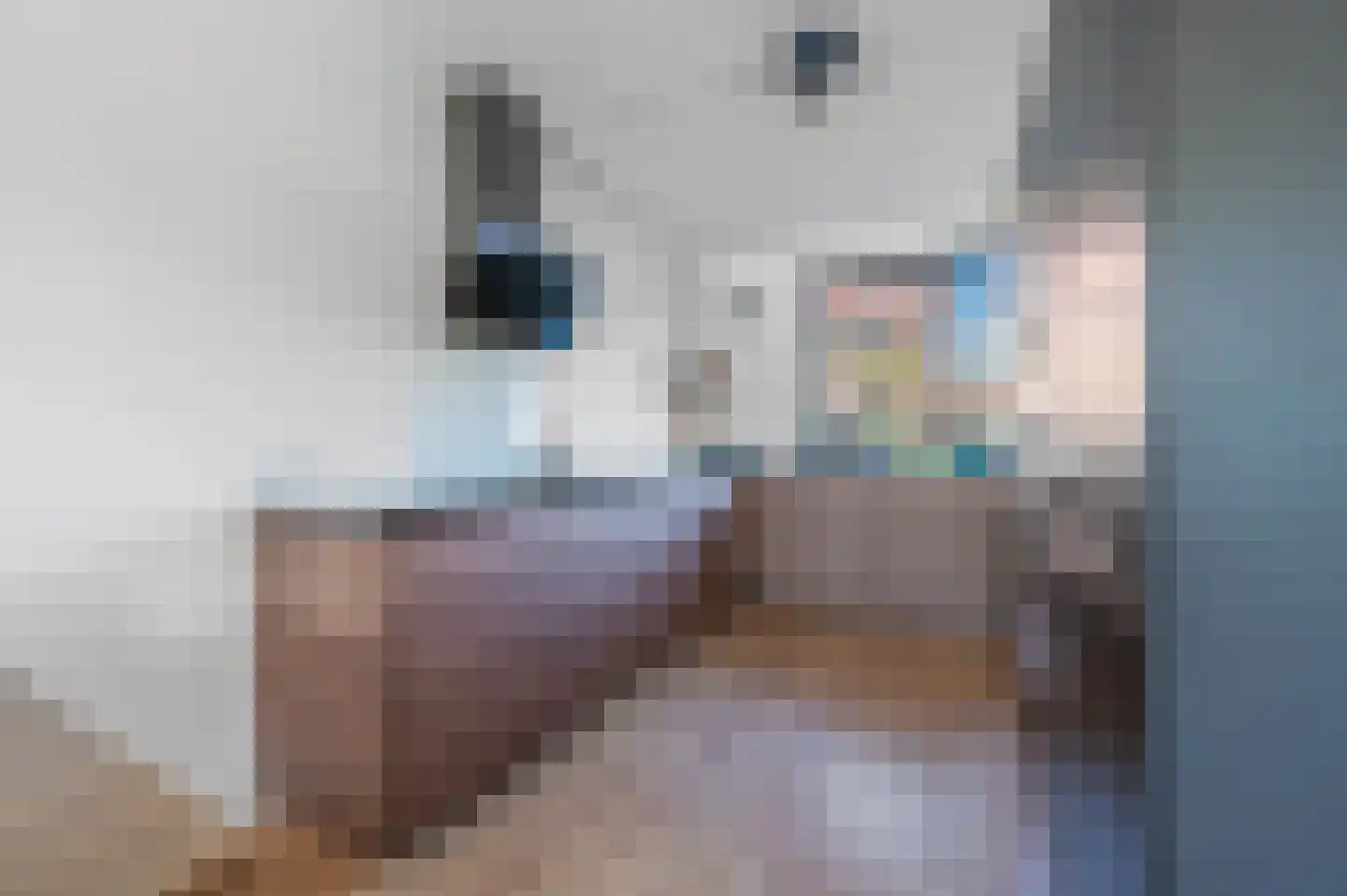 Rijstkamp 51 Den Haag thumbnail 6