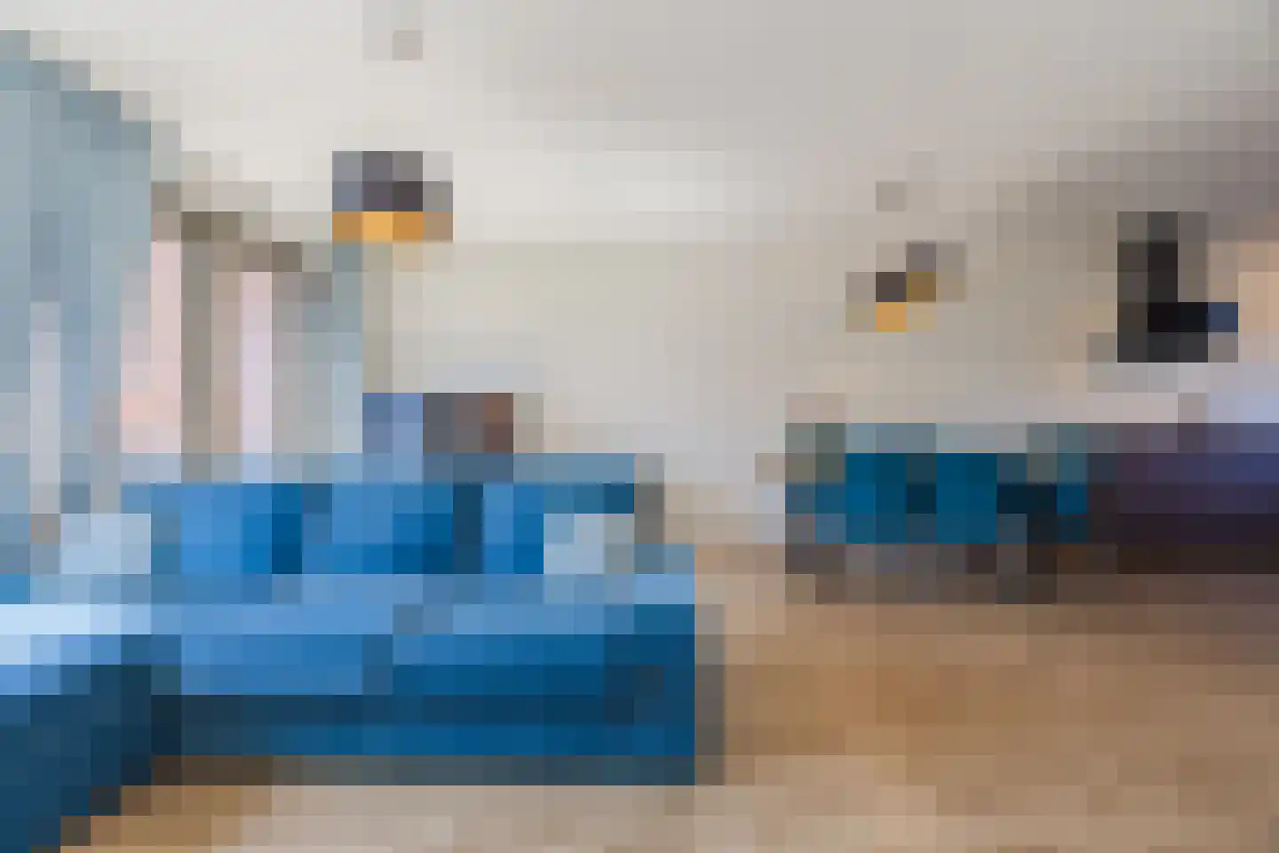 Rijstkamp 51 Den Haag thumbnail 9