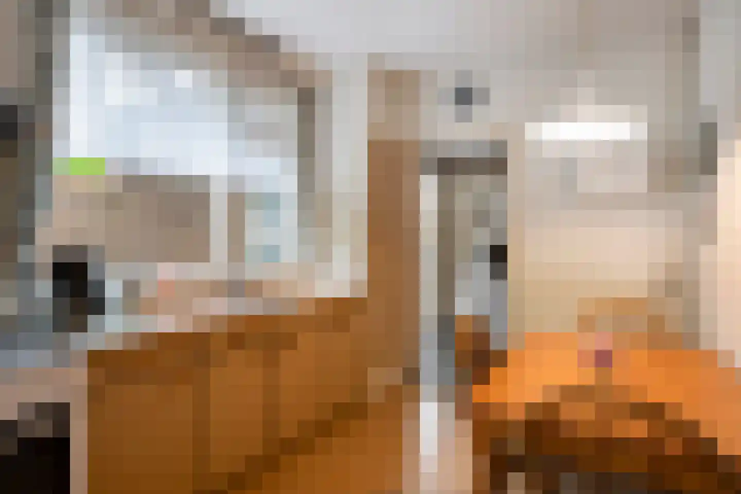 Rijstraat 4 Guttecoven thumbnail 10