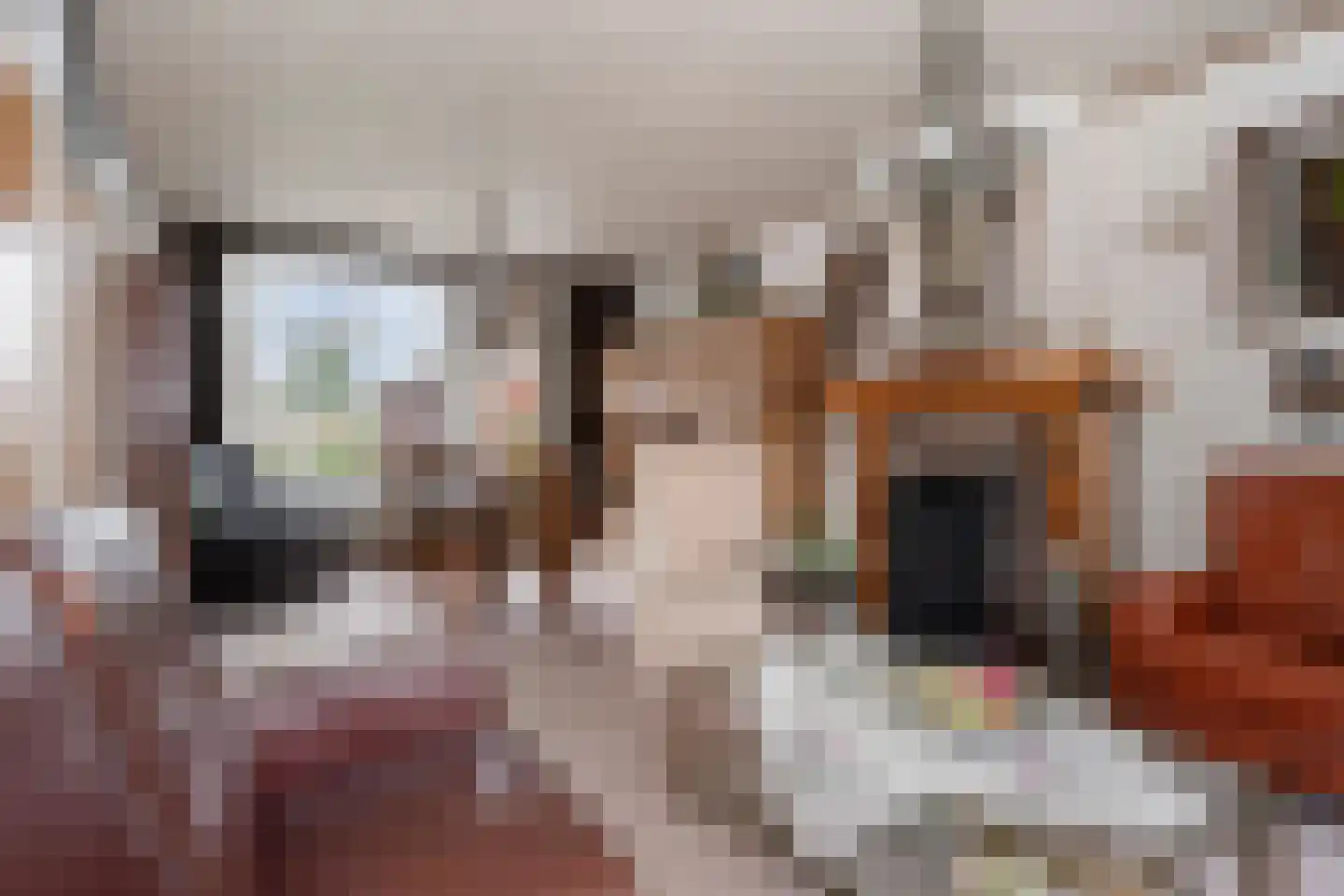 Rijstraat 4 Guttecoven thumbnail 12