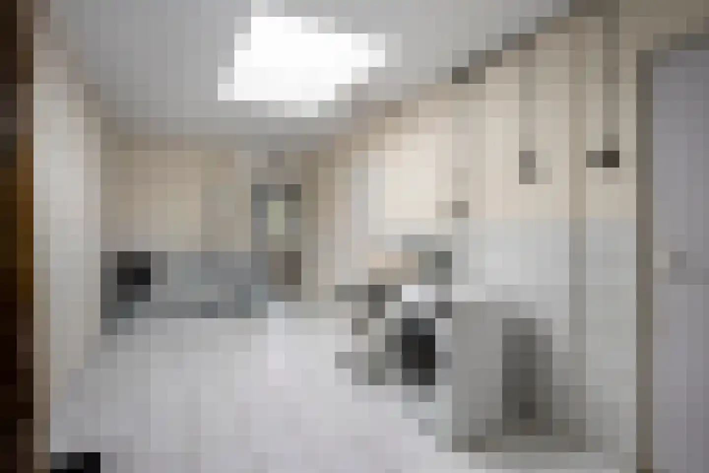 Rijstraat 4 Guttecoven thumbnail 18