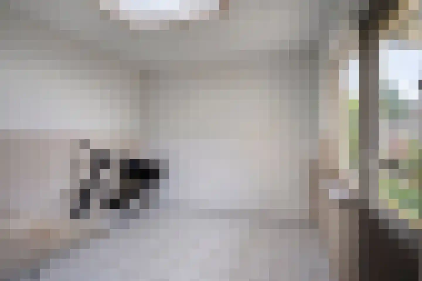 Rijstraat 4 Guttecoven thumbnail 20