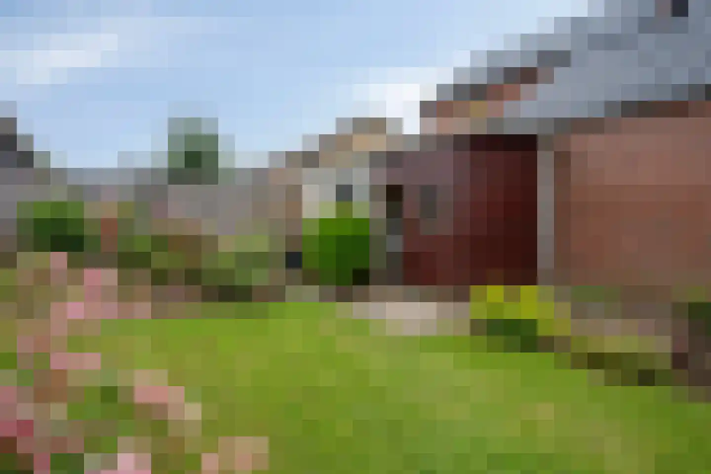 Rijstraat 4 Guttecoven thumbnail 22