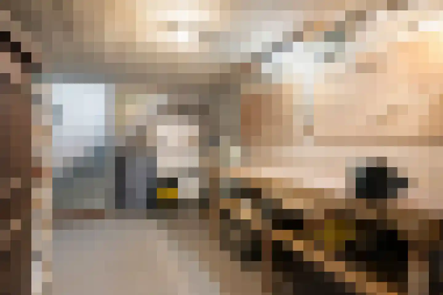 Rijstraat 4 Guttecoven thumbnail 26