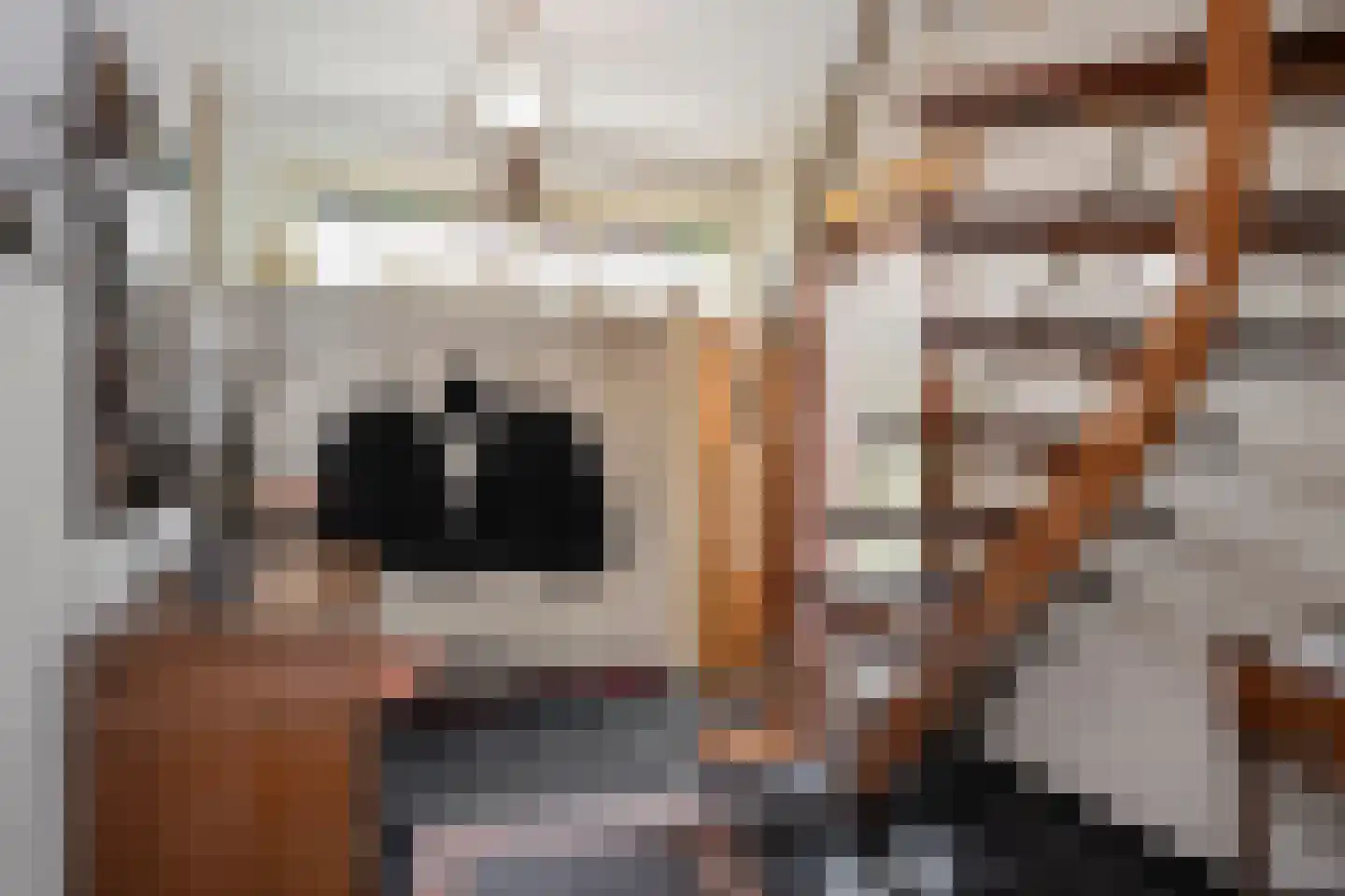 Rijstraat 4 Guttecoven thumbnail 8