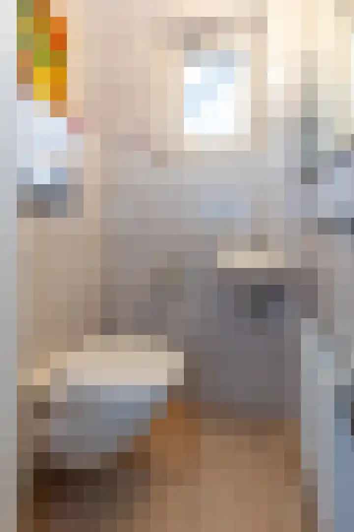 Rijstraat 6 Guttecoven thumbnail 11