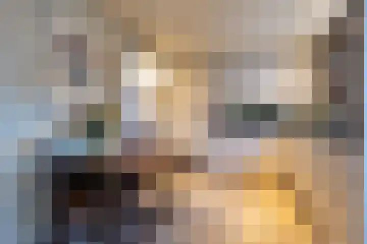Rijstraat 6 Guttecoven thumbnail 20