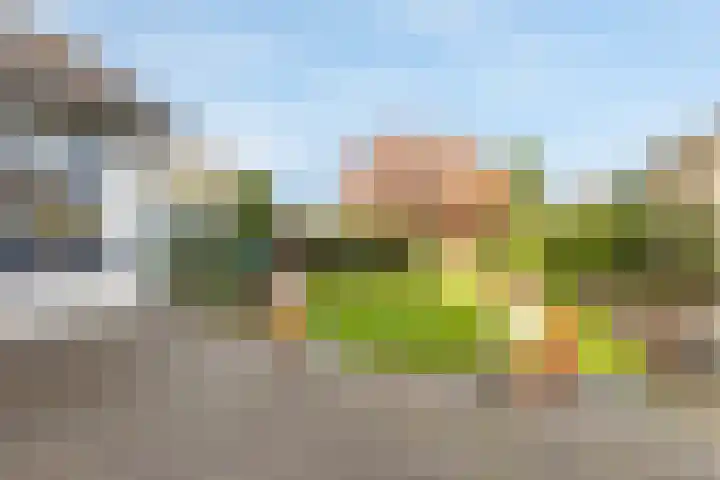 Rijstraat 6 Guttecoven thumbnail 23