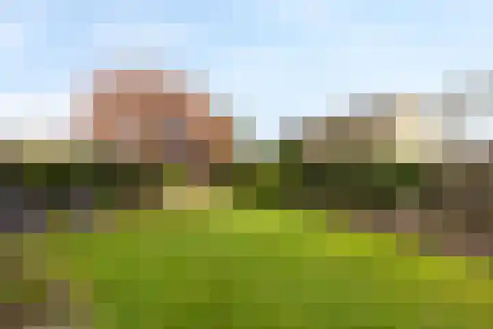 Rijstraat 6 Guttecoven thumbnail 24