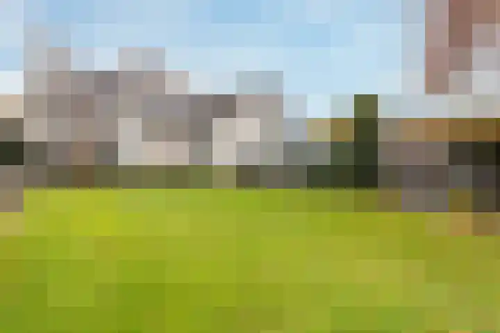 Rijstraat 6 Guttecoven thumbnail 25